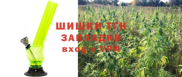 тгк Михайлов