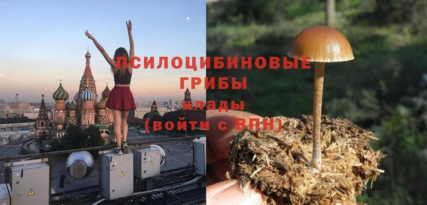 тгк Михайлов
