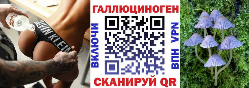 даркнет сайт  Пятигорск  Псилоцибиновые грибы Psilocybine cubensis 